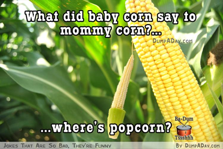 funny jokes about popcorn - What did baby corn say to mommy corn?... Dumpaday.Com Let Coordin BaDum ...there's popcon M2 Tssshhh By Dumpaday.Com Jokes That Are So Bad, They'Re Funny