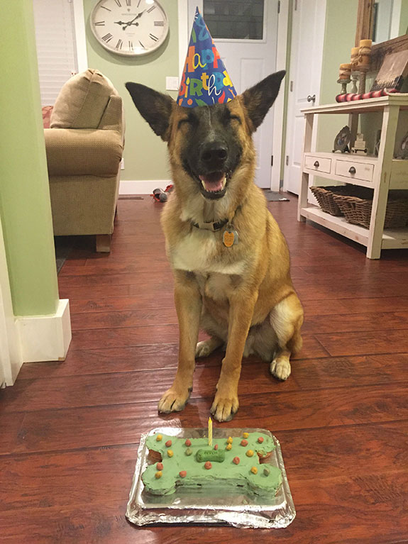 happy birthday post for dog