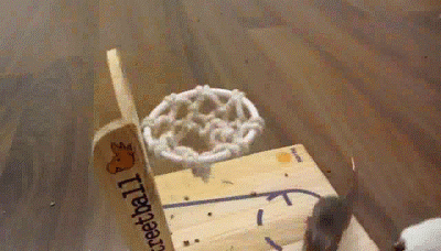 mouse basketball gif - treetball