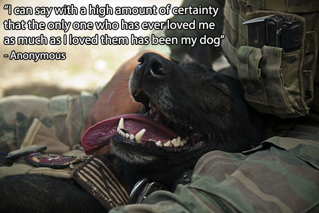 military dog love - a can say with a high amount of certainty that the only one who has ever loved me as much as I loved them has been my dog" Anonymous