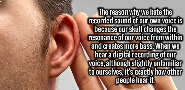 brain fun facts - The reason why we hate the recorded sound of our own voice is because our skull changes the resonance of our voice from within and creates more bass. When we hear a digital recording of our voice, although slightly unfamiliar to ourselve