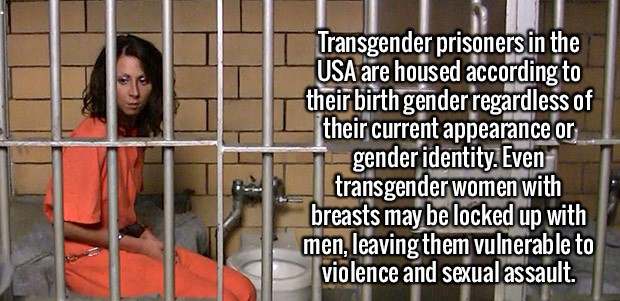 prison - Transgender prisoners in the Usa are housed according to their birth gender regardless of their current appearance or gender identity. Even transgender women with breasts may be locked up with men, leaving them vulnerable to violence and sexual a