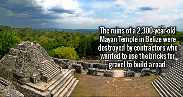 caracol - The ruins of a 2,300yearold Mayan Temple in Belize were destroyed by contractors who wanted to use the bricks for gravel to build a road.