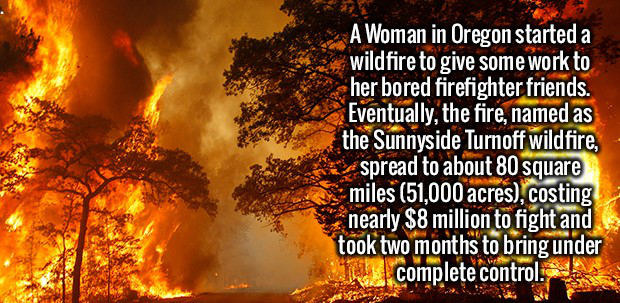 wildfires due to global warming - A Woman in Oregon started a wildfire to give some work to her bored firefighter friends. Eventually, the fire, named as the Sunnyside Turnoff wildfire, spread to about 80 square miles 51,000 acres, costing nearly $8 milli