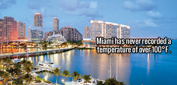 miami florida vacation - Italia Llllllllls Per Libre Miami has never recorded a temperature of over 100F.
