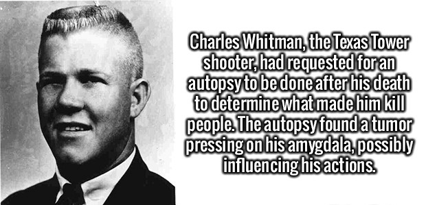 gentleman - Charles Whitman, the Texas Tower shooter, had requested foran autopsy to be done after his death to determine what made him kill people. The autopsy found a tumor pressing on his amygdala, possibly influencing his actions