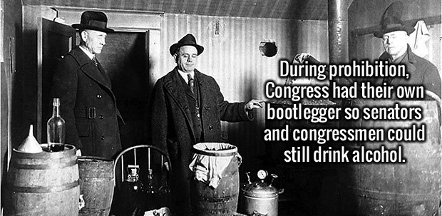 noizy my lady - During prohibition, Congress had their own bootlegger so senators and congressmen could still drink alcohol.