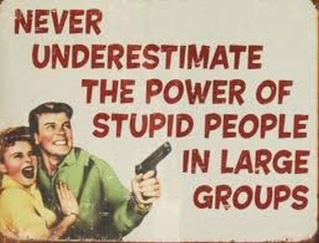 do not underestimate the power of stupid people in large group - Never Underestimate The Power Of Stupid People In Large Groups