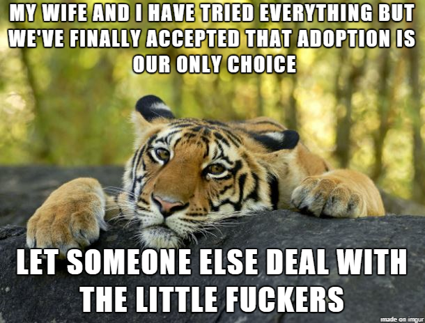 susie meme - My Wife And I Have Tried Everything But We'Ve Finally Accepted That Adoption Is Our Only Choice Let Someone Else Deal With The Little Fuckers nad on imgur