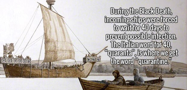 medieval europe ships - During the Black Death, incoming ships were forced to wait for 40 days to prevent possible infection. The Italian word for 40 "quaranta", is where we get the word quarantine."