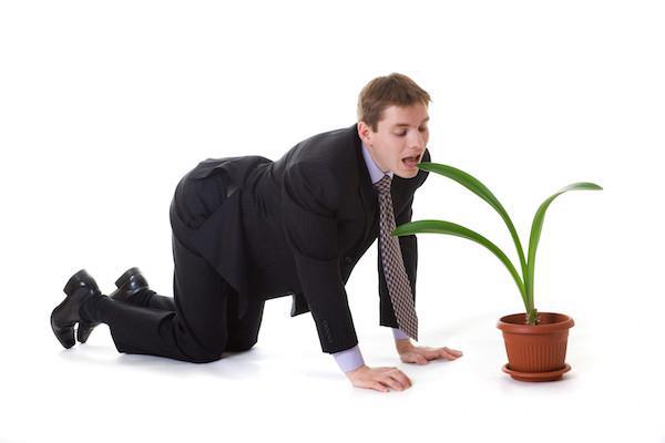 gifs - man in suit biting a plant leaf while on his knees