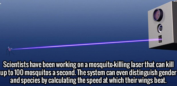 mosquito laser - Scientists have been working on a mosquitokilling laser that can kill up to 100 mosquitos a second. The system can even distinguish gender and species by calculating the speed at which their wings beat.