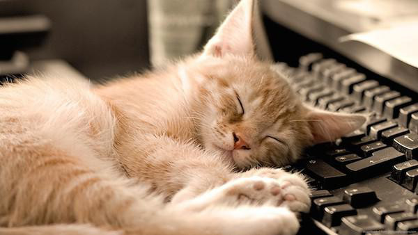 Napping for just 15 minutes can improve your day-to-day memory.