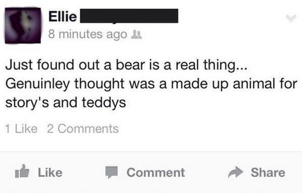 dumbest posts on the internet - Ellie 8 minutes ago & Just found out a bear is a real thing... Genuinley thought was a made up animal for story's and teddys 1 2 Comment