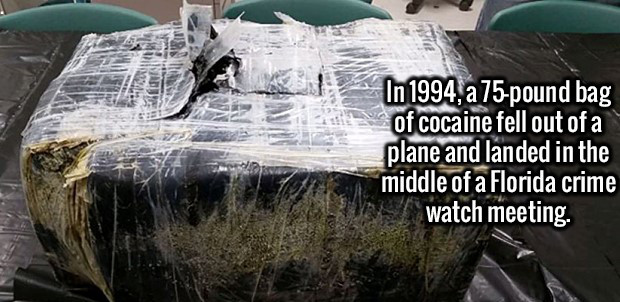 50 pounds of cocaine - In 1994, a 75pound bag of cocaine fell out of a plane and landed in the middle of a Florida crime watch meeting