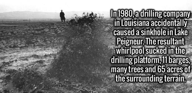 lake peigneur sinkhole - In 1980, a drilling company in Louisiana accidentally caused a sinkhole in Lake Peigneur. The resultant whirlpool sucked in the drilling platform, 11 barges, many trees and 65 acres of the surrounding terrain.