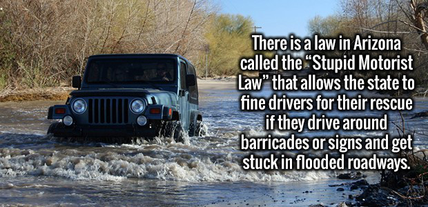 off roading - There is a law in Arizona called the "Stupid Motorist Law" that allows the state to fine drivers for their rescue if they drive around barricades or signs and get stuck in flooded roadways.
