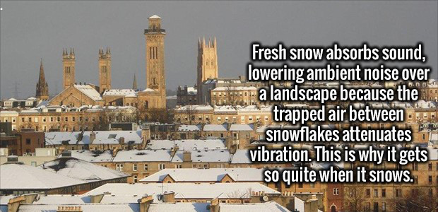 landmark - Fresh snow absorbs sound, lowering ambient noise over E a landscape because the trapped air between snowflakes attenuates vibration. This is why it gets So quite when it snows. Judo