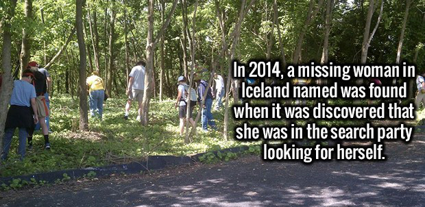 nature - In 2014, a missing woman in 'Iceland named was found when it was discovered that she was in the search party looking for herself.