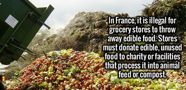 developed countries food waste - In France, it is illegal for grocery stores to throw away edible food. Stores must donate edible, unused food to charity or facilities that process it into animal feed or compost.