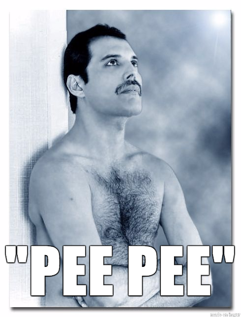 Freddie Mercury - He was dying of AIDS, and said this to his partner asking to be helped to the restroom.