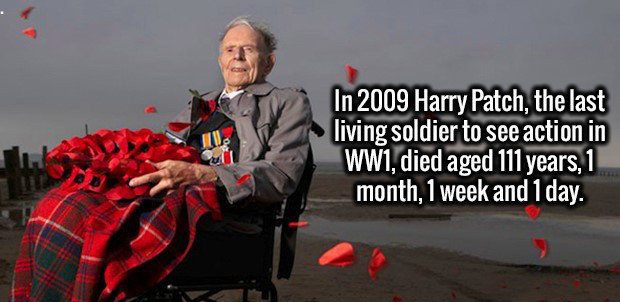 2009 fun facts - In 2009 Harry Patch, the last living soldier to see action in WW1, died aged 111 years, 1 month, 1 week and 1 day.
