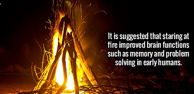 lohri diyan lakh lakh vadhaiyan - It is suggested that staring at fire improved brain functions such as memory and problem solving in early humans.