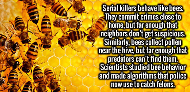 Serial killers behave bees. They commit crimes close to home, but far enough that neighbors don't get suspicious. Similarly, bees collect pollen near the hive, but far enough that predators can't find them. Scientists studied bee behavior and made…