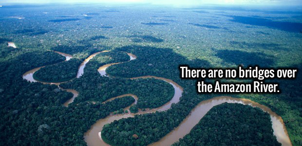 amazon river - There are no bridges over the Amazon River.