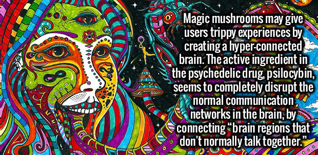 psychedelic art - 22 V90 Magic mushrooms may give users trippy experiences by creating a hyperconnected brain. The active ingredient in the psychedelic drug, psilocybin, seems to completely disrupt the normal communication E networks in the brain, by conn