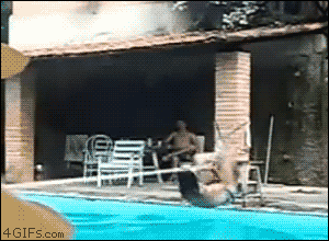 25 GIFs With Completely Unexpected Endings