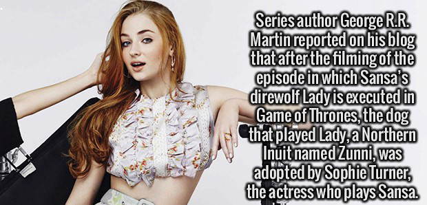 sophie turner glamour mexico - Series author George R.R. Martin reported on his blog that after the filming of the episode in which Sansa's direwolf Lady is executed in Game of Thrones, the dog that played Lady, a Northern Inuit named Zunni, was adopted b