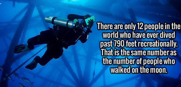 divemaster - There are only 12 people in the world who have ever dived past 790 feet recreationally. That is the same number as the number of people who walked on the moon.