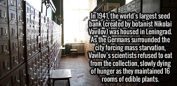building - Tags In 1941, the world's largest seed bank created by botanist Nikolai Vavilov was housed in Leningrad. As the Germans surrounded the city forcing mass starvation, Vavilov's scientists refused to eat from the collection, slowly dying of hunger