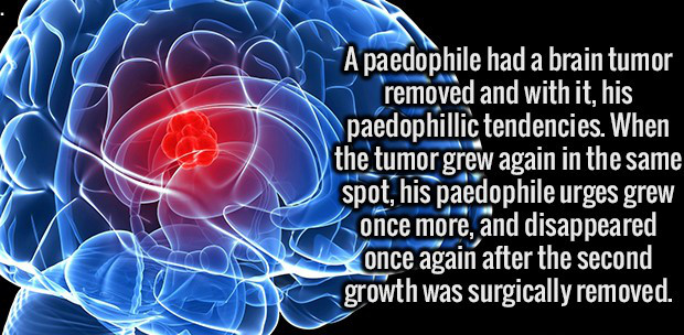 the pentagon, 9/11 memorial - A paedophile had a brain tumor removed and with it, his paedophillic tendencies. When the tumor grew again in the same spot, his paedophile urges grew once more, and disappeared once again after the second growth was surgical