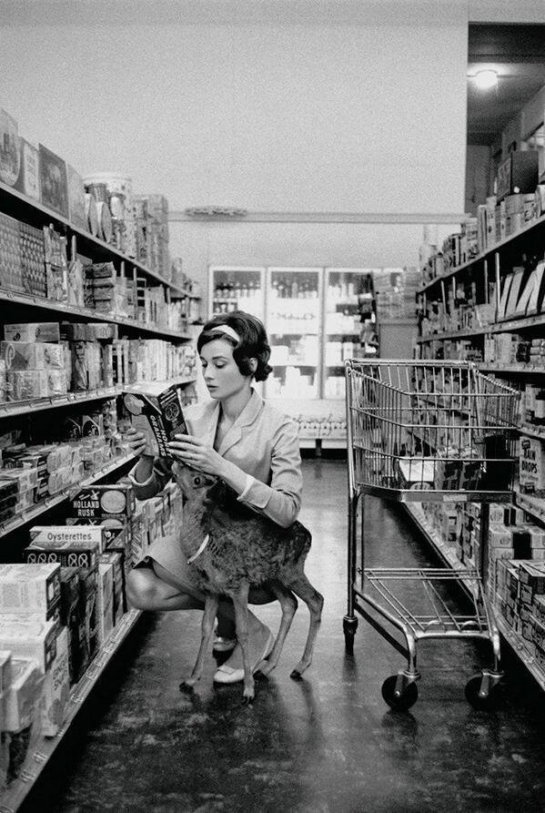 Audrey Hepburn goes shopping with her pet deer in Beverly Hills, 1958.