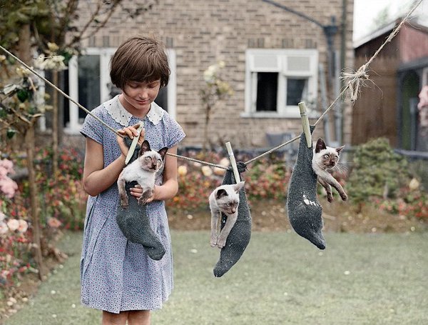 A girl hanging up her kittens in 1931.