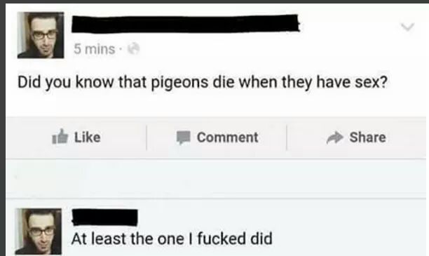 did you know pigeons die when they have sex - 5 mins Did you know that pigeons die when they have sex? I Comment At least the one I fucked At least the one I fucked did