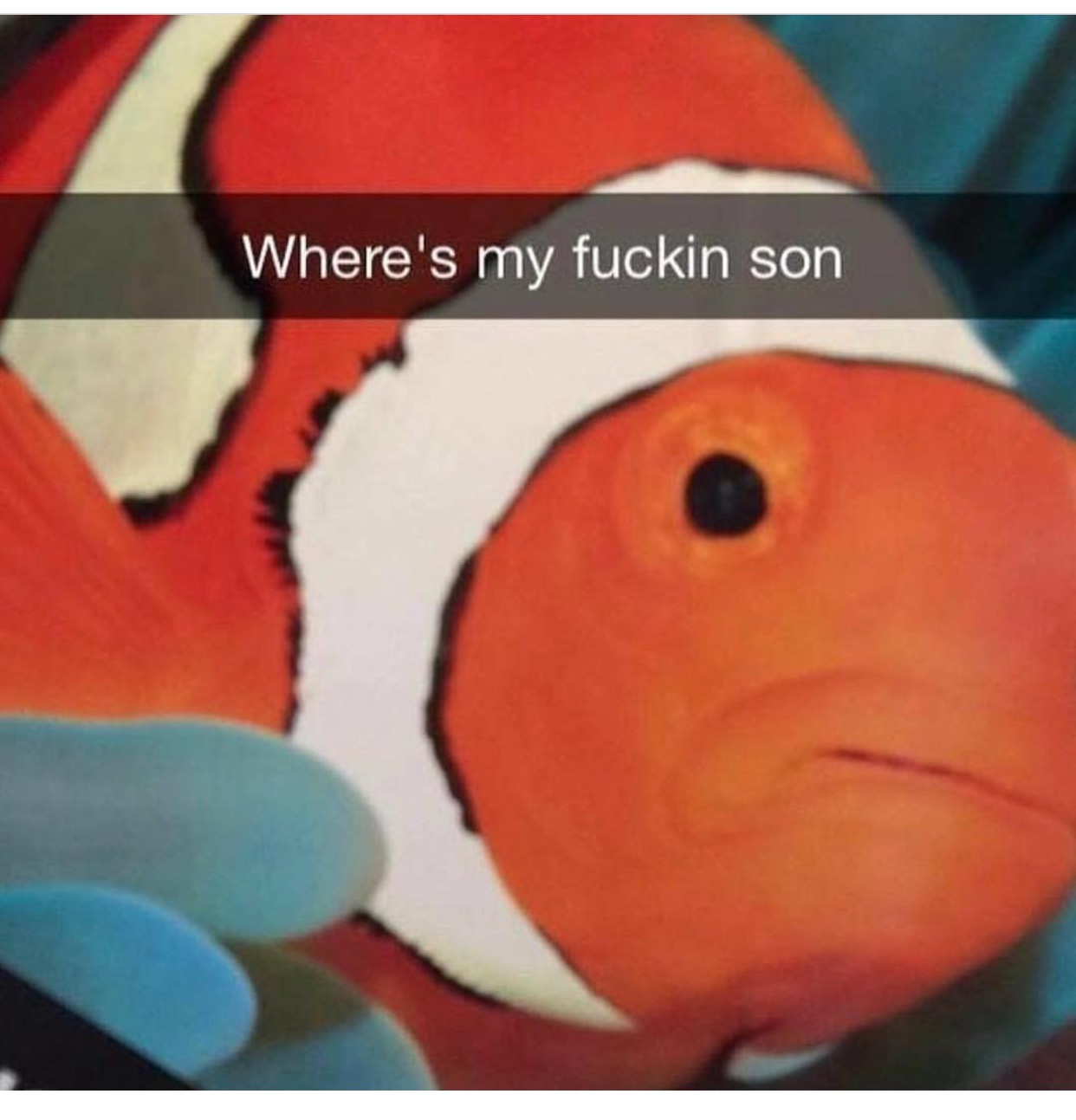 memes - where's my fuckin son - Where's my fuckin son