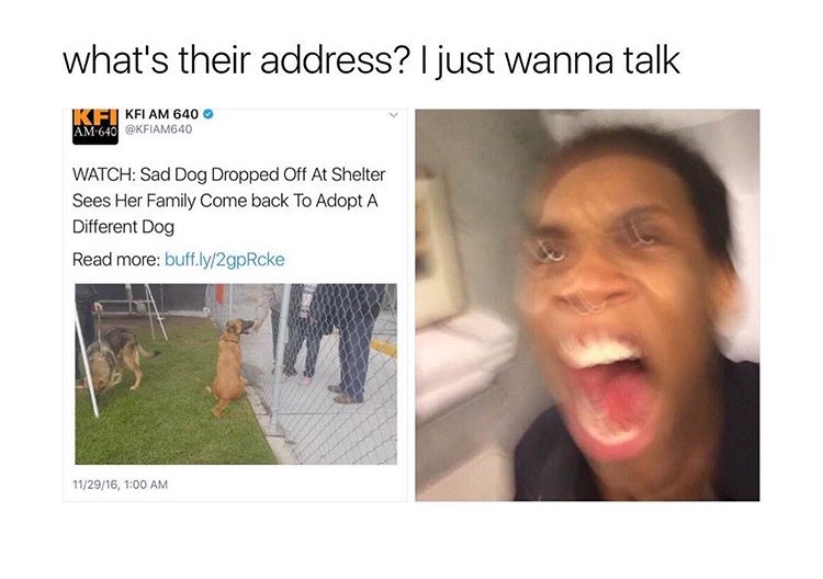 memes - whats their address i just wanna talk - what's their address? I just wanna talk Ik Fkfi Am 640 Am 640 KFIAM640 Watch Sad Dog Dropped Off At Shelter Sees Her Family Come back To Adopt A Different Dog Read more buff.ly2gpRcke 112916,