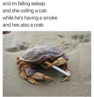 memes- funny crab - and im falling asleep and she calling a cab while he's having a smoke and hes also a crab