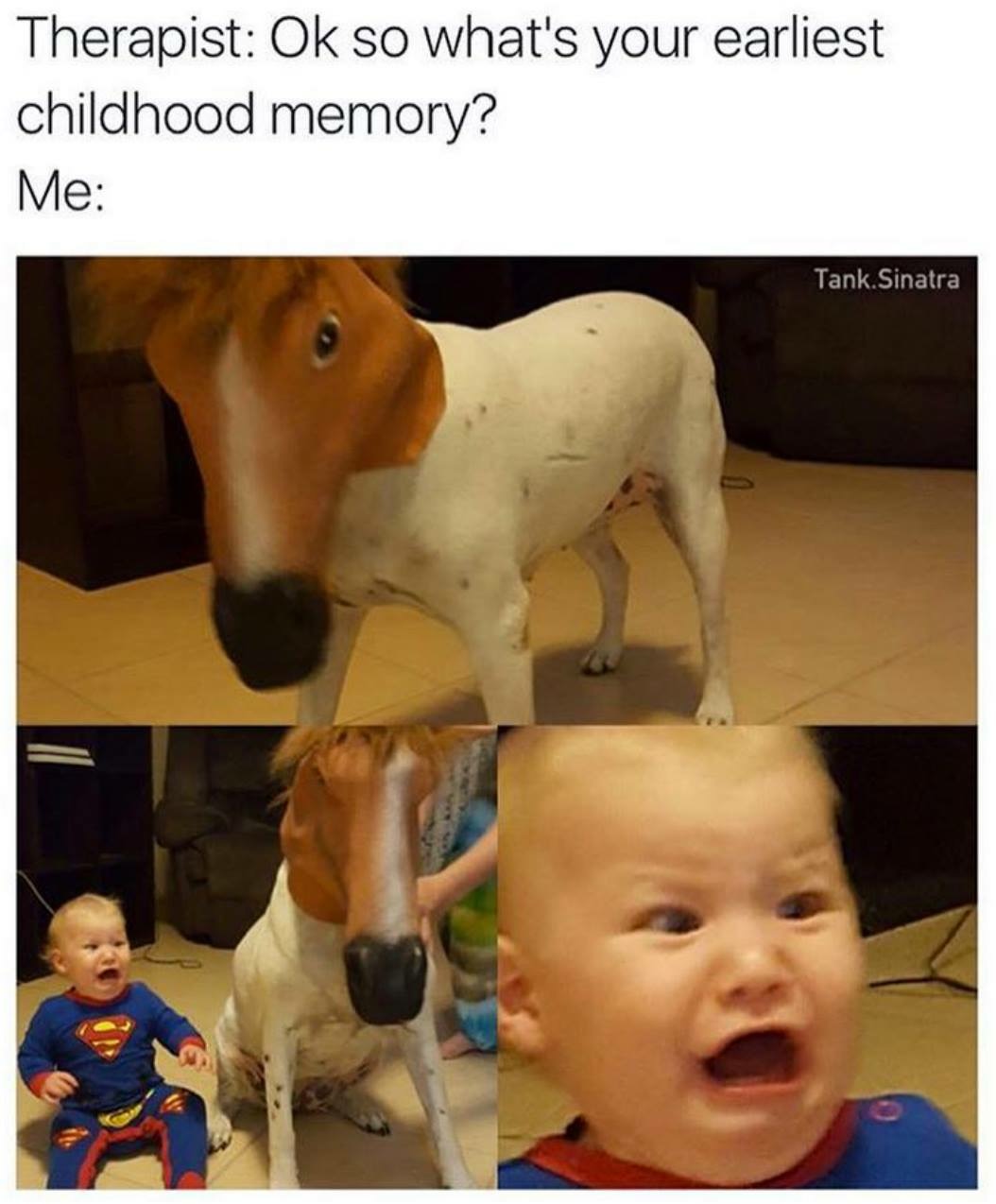 memes- funny memes to make you laugh - Therapist Ok so what's your earliest childhood memory? Me Tank Sinatra