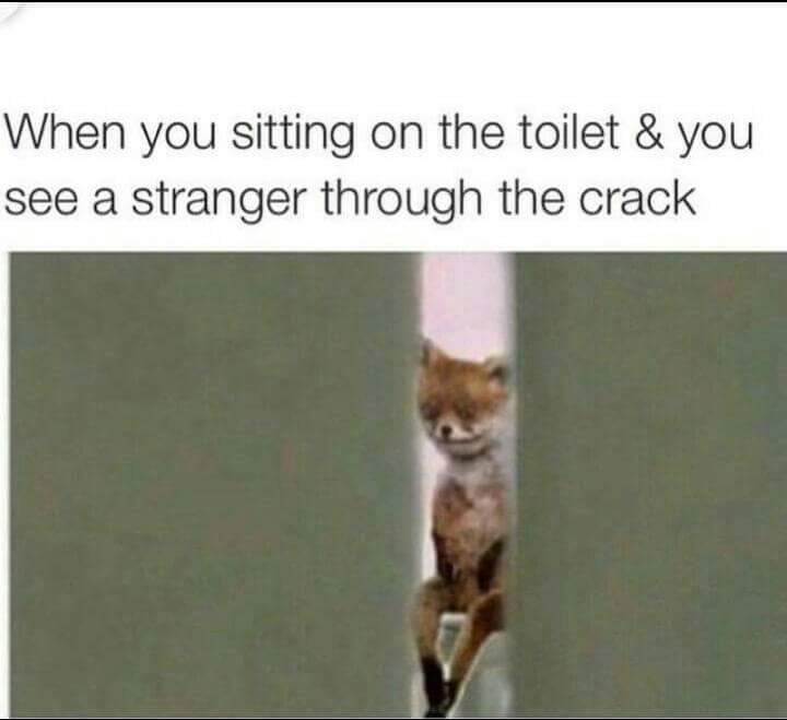 memes- sitting on the toilet like - When you sitting on the toilet & you see a stranger through the crack