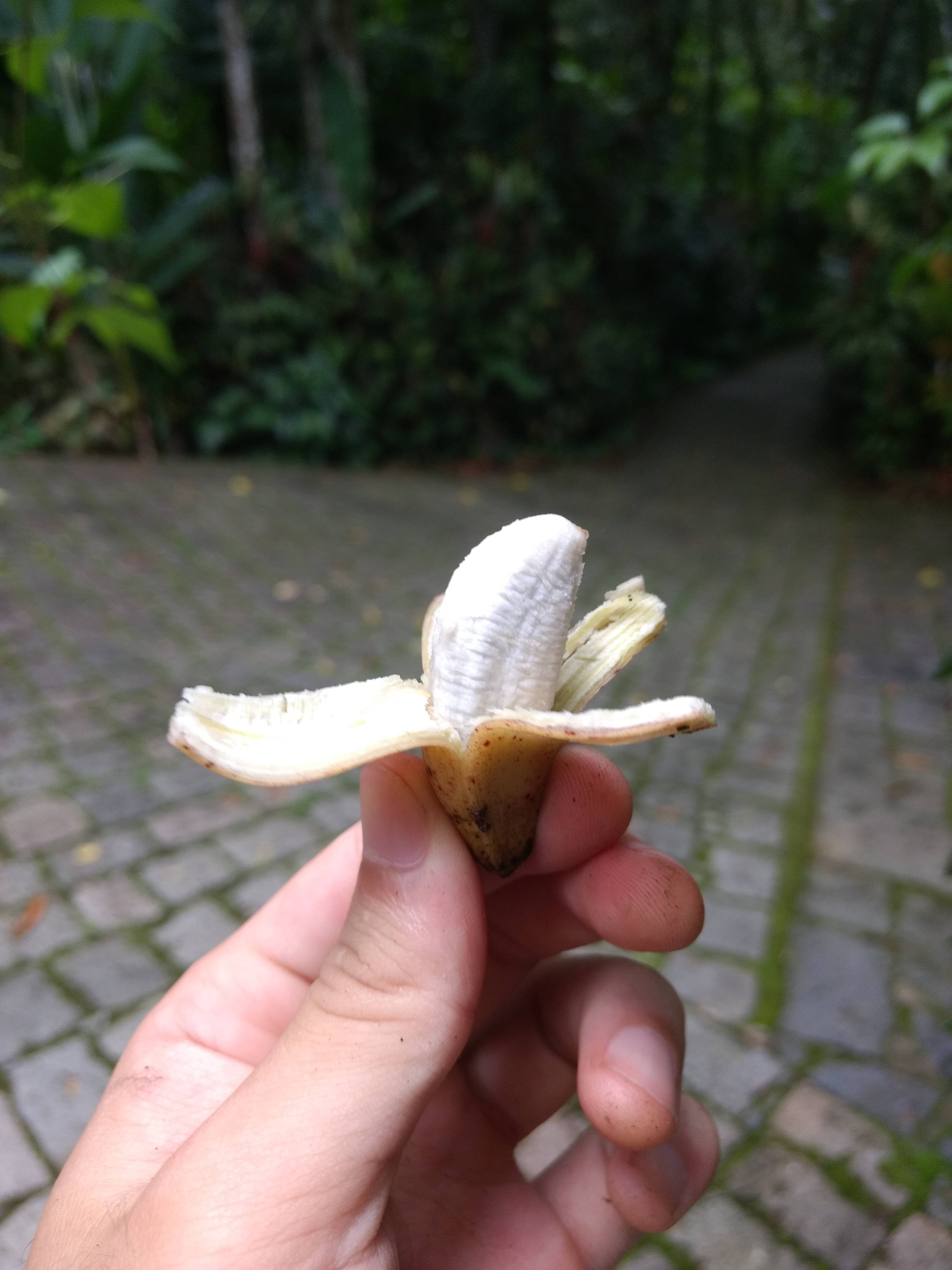 tiny banana meme