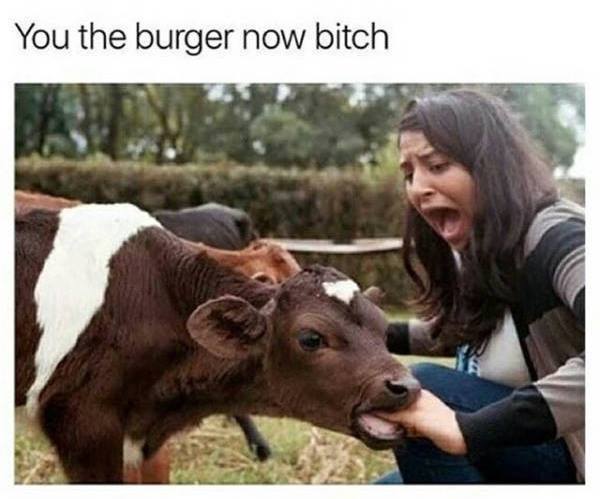you the burger now - You the burger now bitch