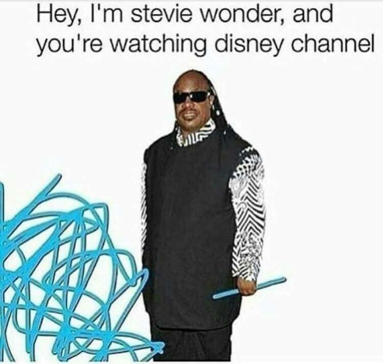 disney channel meme - Hey, I'm stevie wonder, and you're watching disney channel Sur