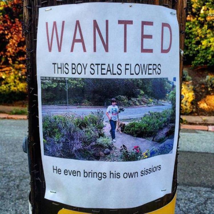 stupid things to do as a teenager - Wanted This Boy Steals Flowers He even brings his own SiSSI