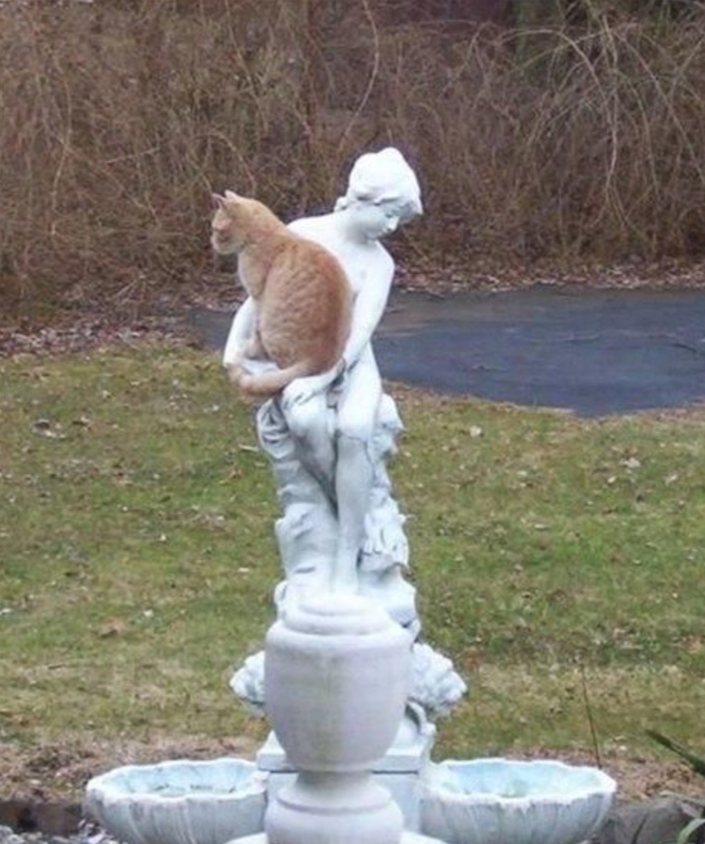 cat sitting on statue