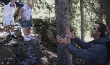 Man catches one kid, is not ready to catch the next one who jumps anyway and face plants in a tree.