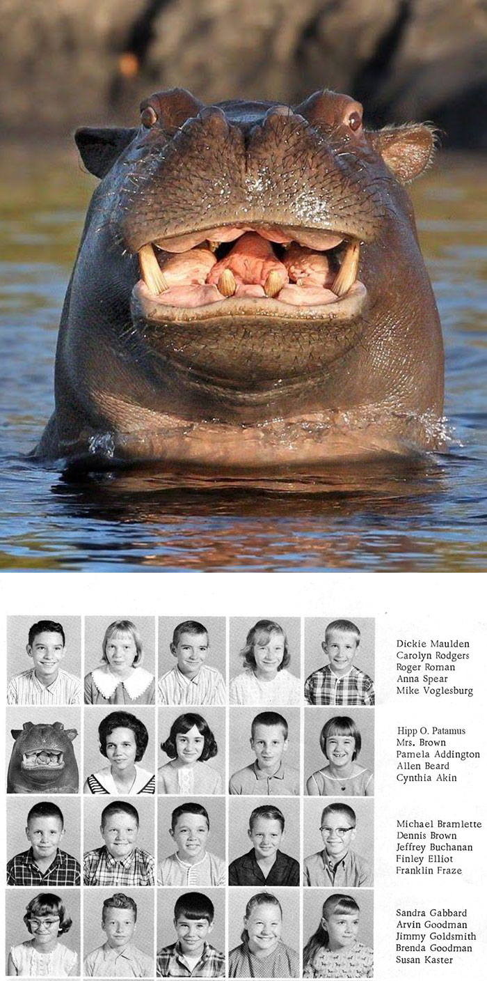 glitch in the matrix hippo smiling - Dickie Maulden Carolyn Rodgers Roger Roman Anna Spear Mike Voglesburg Hipp O. Patamus Mrs. Brown Pamela Addington Allen Beard Cynthia Akin Michael Bramlette Dennis Brown Jeffrey Buchanan Finley Elliot Franklin Fraze Sa